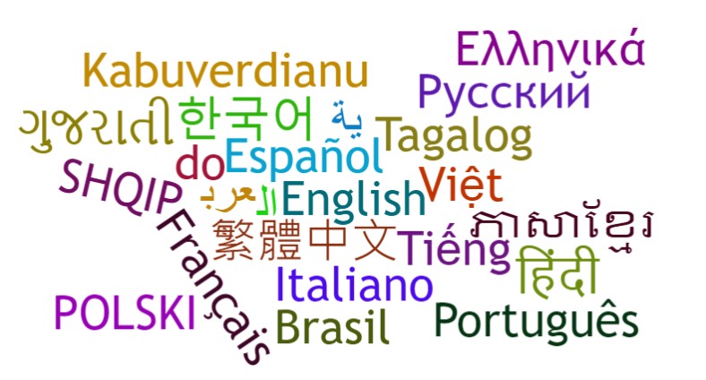Language Services